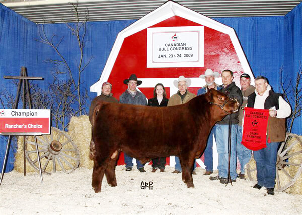 Rancher's Choice Single Bull Champion 2009