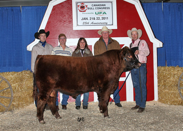 Bull-nanza draw down winner - Danny Graff choosing a bull from Vikse Family Farm 2012