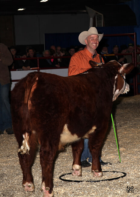 Celebrity Sponsor Show - 1st place: Shawn Wilson with Zoetis 2014