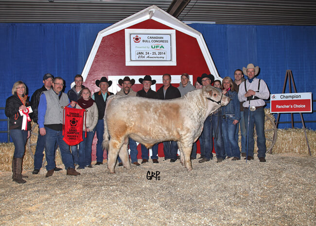 Rancher's Choice Champion - Vikse Family Farm 2014