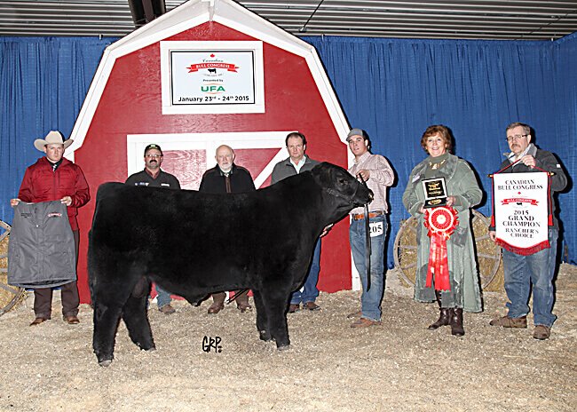 Rancher's Choice Champion - Rusylvia Cattle Co. 2015