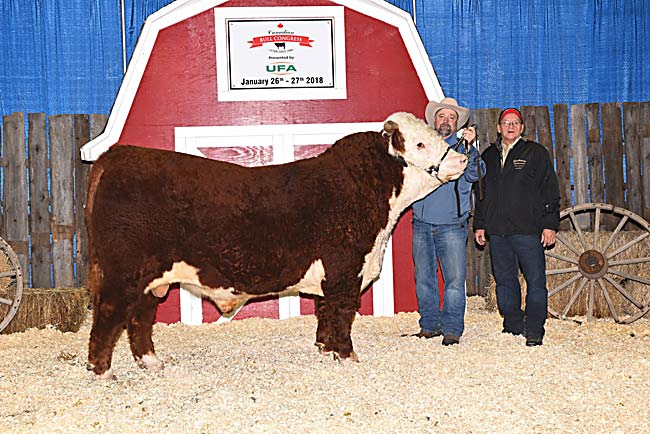 Bullnanza - Bull Contributor: SS Cattle Co.| Winner: Everett Gavel 2018